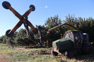 From Orchard to Ground: The Next Stage in Our Macadamia Cycle
