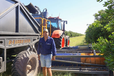 Inside an Australian Macadamia Harvest: How the Pin-Wheel Harvester Works