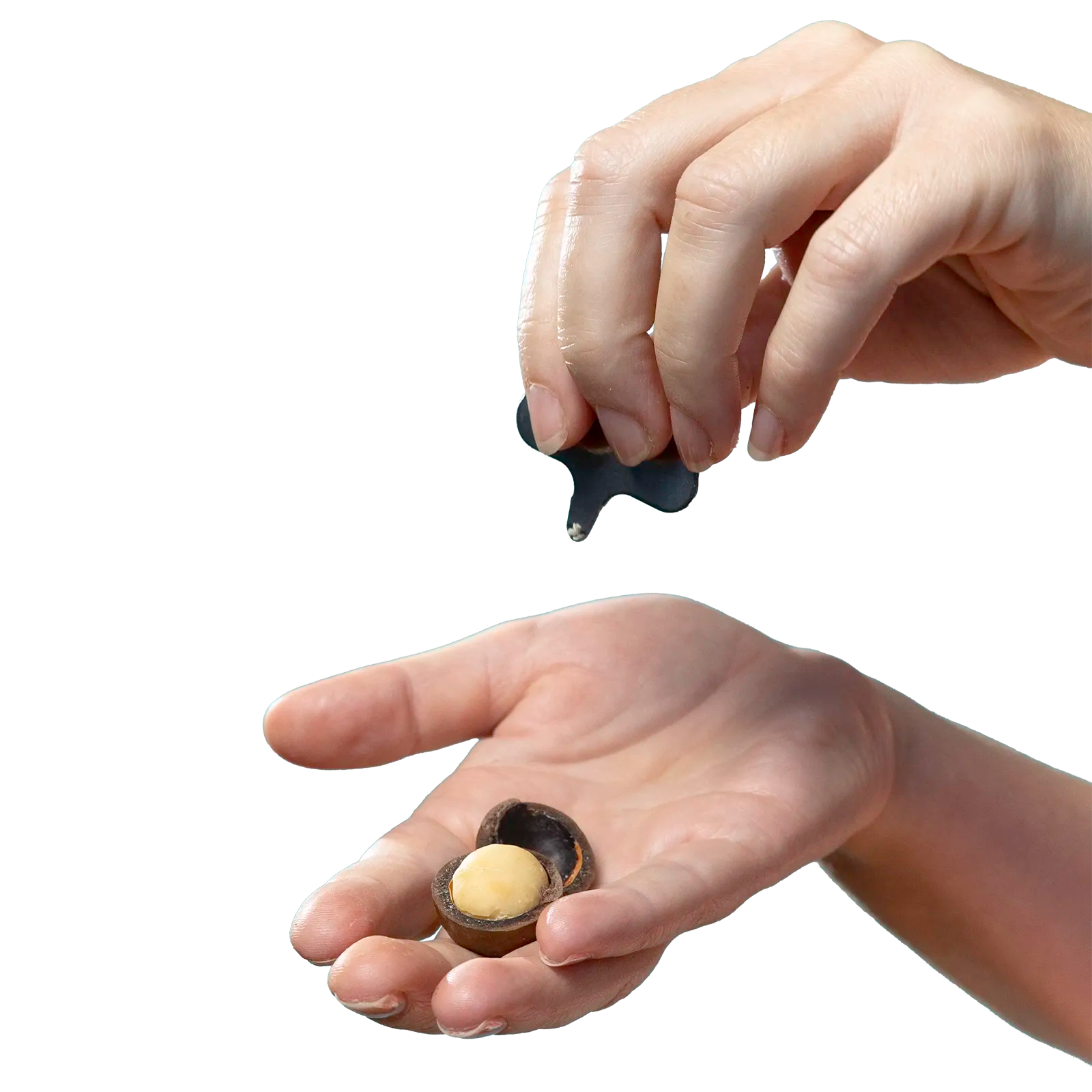 The Key To Happiness